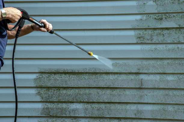 Best Sidewalk and Walkway Cleaning  in Waukegan, IL