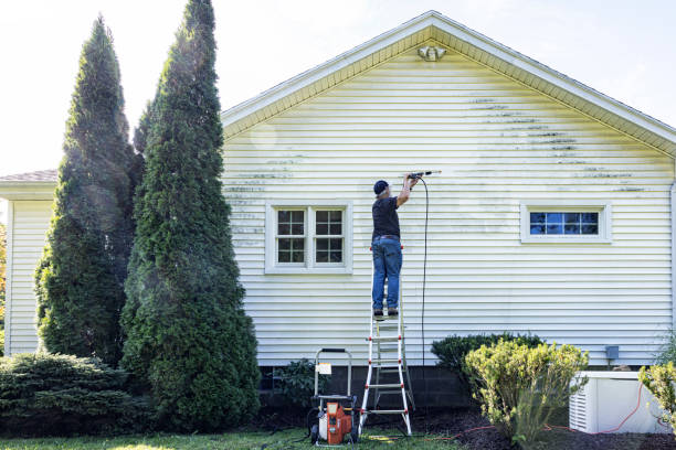Best Graffiti Removal  in Waukegan, IL